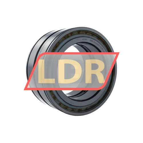 INA SL045026-D-PP-2NR-C3