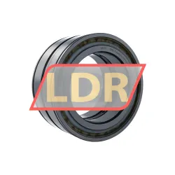 INA SL045026-D-PP-2NR-C3