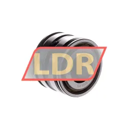 INA SL045004-PP-2NR