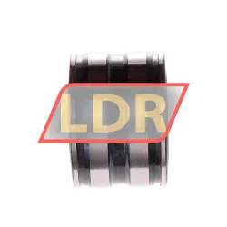 INA SL045004-PP-2NR rulman resim 2