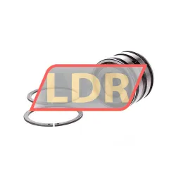 INA SL045004-PP-2NR rulman resim 3
