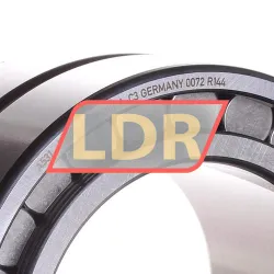 INA SL185016-A-C3 rulman resim 2