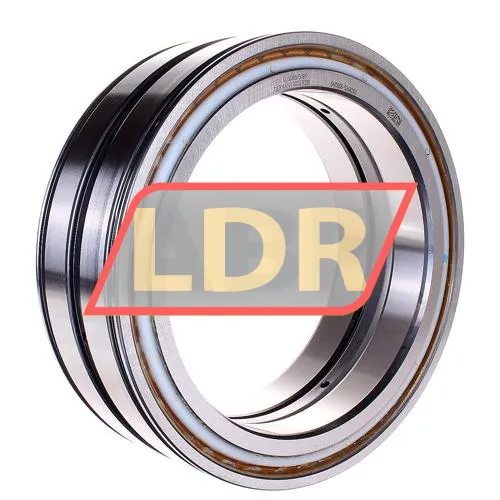 INA SL04180-D-PP