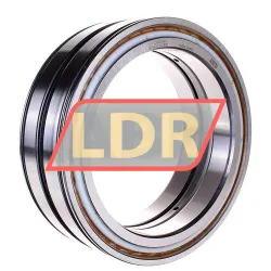 INA SL04180-D-PP