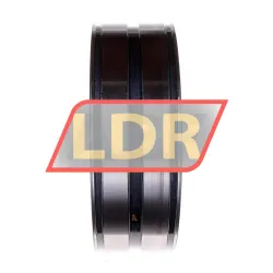 INA SL04180-D-PP rulman resim 2