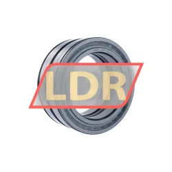 INA SL04130-D-PP-2NR-C3-GA22