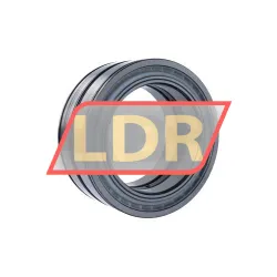 INA SL04130-D-PP-2NR-C3-GA22 rulman resim 2