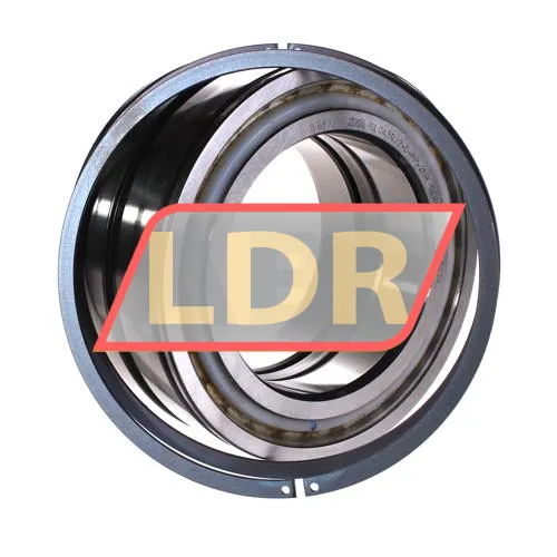 INA SL045022-D-PP-2NR