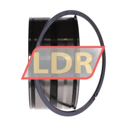 INA SL045022-D-PP-2NR rulman resim 2