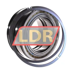 INA SL045022-D-PP-2NR rulman resim 3