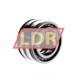 INA SL045008-P rulman resim 2