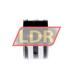 INA SL045008-P rulman resim 3