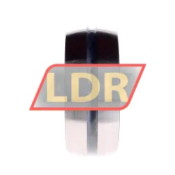 INA SL05018-E rulman resim 2