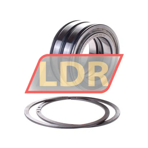 INA SL045010-PP-2NR