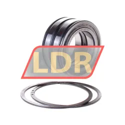 INA SL045010-PP-2NR