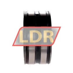 INA SL045012-C3 rulman resim 2