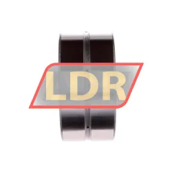 INA SL185015-A-C3 rulman resim 2