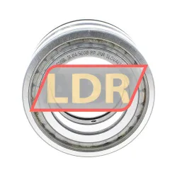 INA SL045008-PP-2NR rulman resim 2