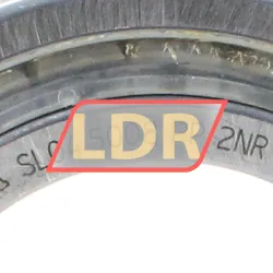 INA SL045008-PP-2NR rulman resim 3