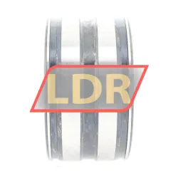 INA SL045008-PP-2NR rulman resim 4