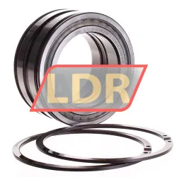 INA SL045013-PP-2NR