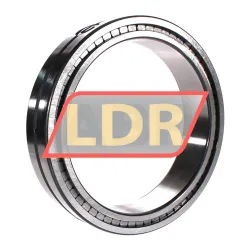 INA SL014838-A rulman resim 3