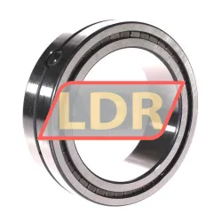 INA SL014920-A-C5 rulman resim 3