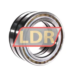 INA SL045020-D-PP