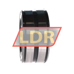 INA SL045020-D-PP rulman resim 2