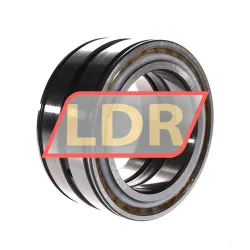 INA SL045020-D-PP rulman resim 3