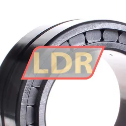 INA SL185024-A-C3 rulman resim 2