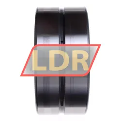 INA SL185024-A-C3 rulman resim 3