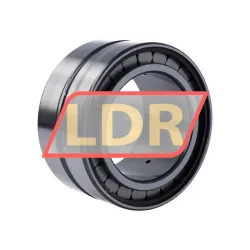 INA SL185016-A-XL-C3 rulman resim 2
