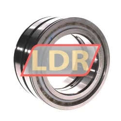 INA SL045022-D-PP
