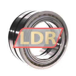 INA SL045022-D-PP rulman resim 2