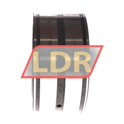 INA SL045022-D-PP rulman resim 3