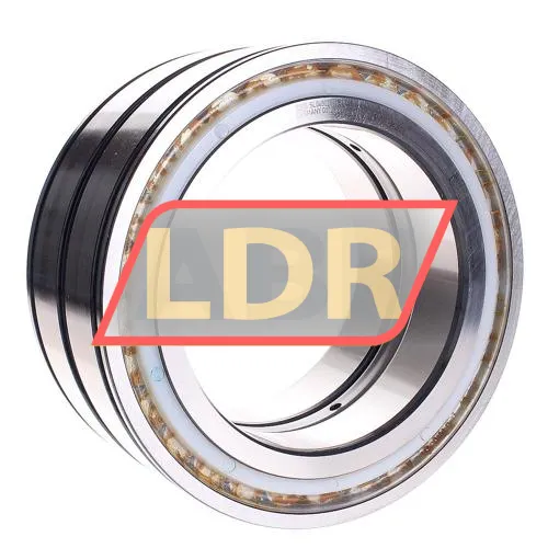 INA SL045028-D-PP
