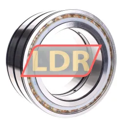 INA SL045028-D-PP