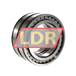 INA SL045017-D rulman resim 2