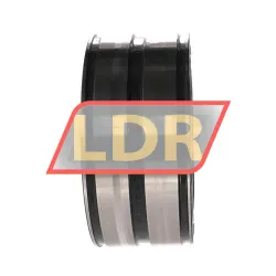 INA SL045017-D rulman resim 3