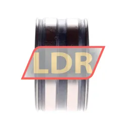 INA SL045008-S3-C4 rulman resim 2