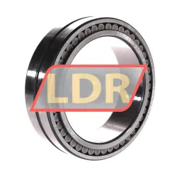 INA SL024922-A-C3 rulman resim 3