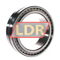 INA SL024930-A rulman resim 3