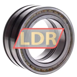 INA SL045015-PP