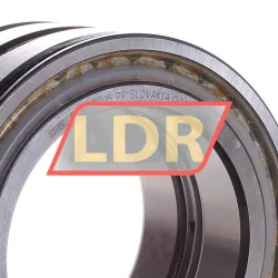 INA SL045015-PP rulman resim 2