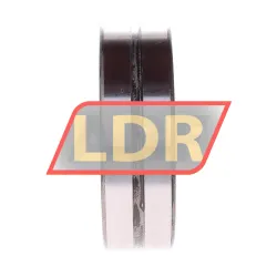 INA SL024914-A rulman resim 2