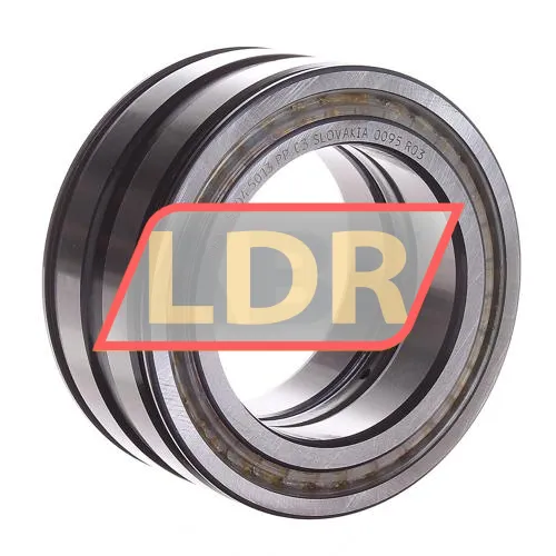 INA SL045013-PP-C3