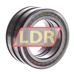 INA SL045013-PP-C3