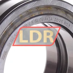 INA SL045013-PP-C3 rulman resim 2