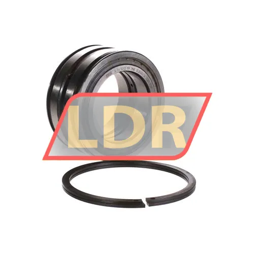 INA SL045012-PP-2NR